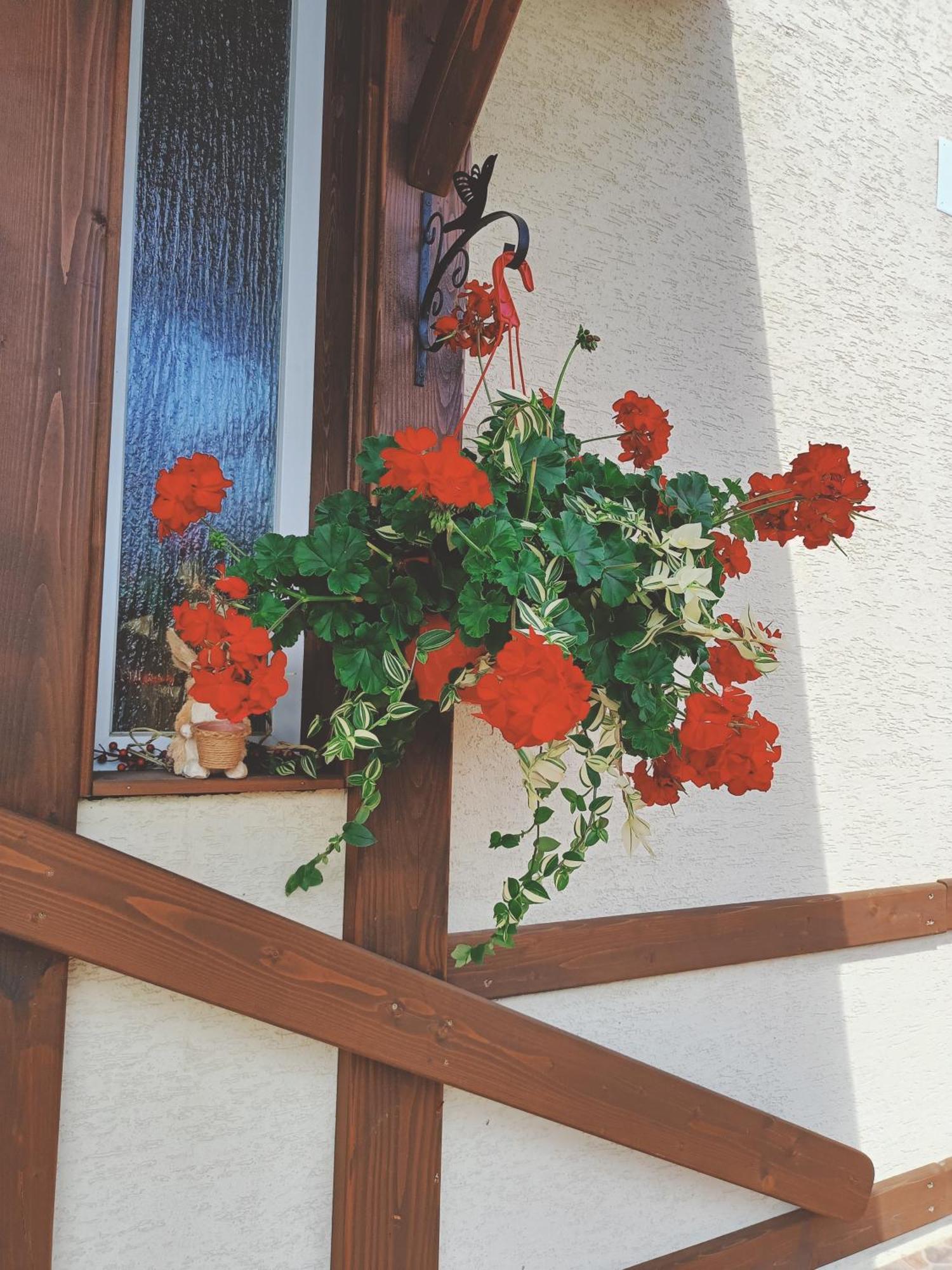 Residence Rooms Bucovina Kimpulung Mołdawski Zewnętrze zdjęcie