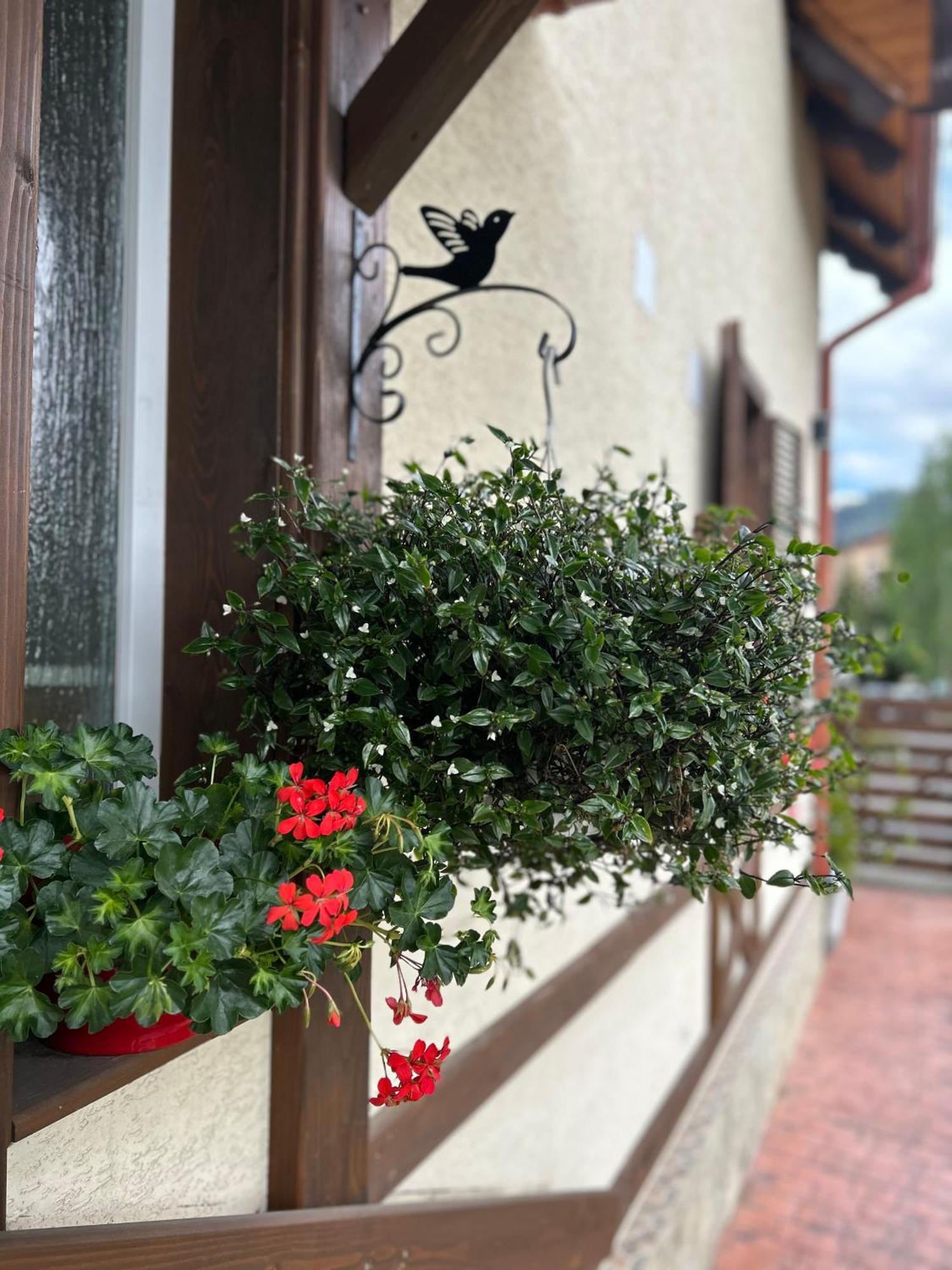 Residence Rooms Bucovina Kimpulung Mołdawski Zewnętrze zdjęcie